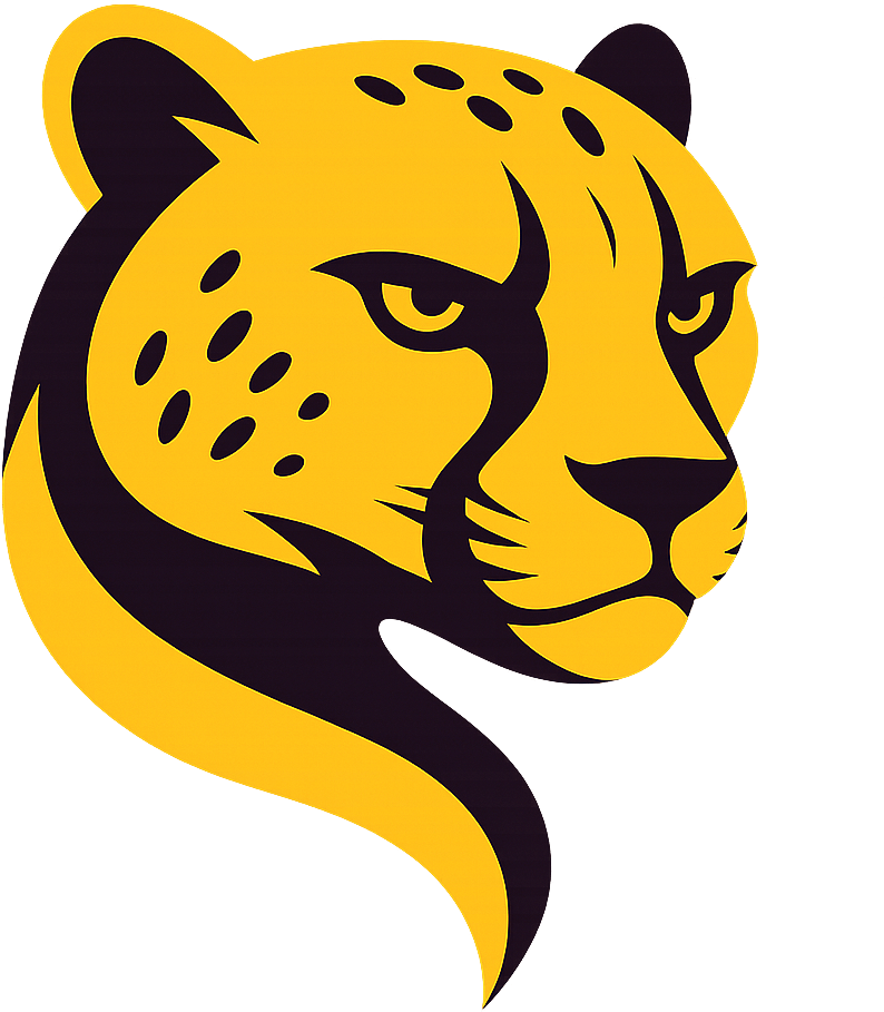 CHEETAH TOOL PRO activation (6 Month)