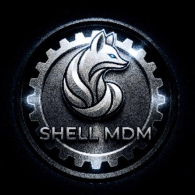 ShellTool - 6 Months